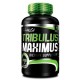 Tribulus Maximus (90 Tabletas)