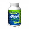 Tribulus Terresrtis (90 Tabletas) Quamtrax