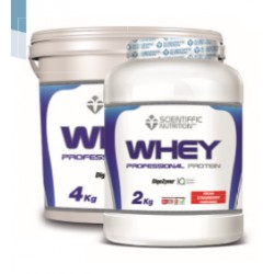 Whey Professional Protein (4 Kg) Scientiffic Nutricion