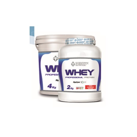 Professional Whey Protein (2 Kg)