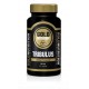 Tribulus (60 Comprimidos) Gold Nutrition