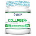 Collagen + ( 300gr) SCIENTIFFIC NUTRITION