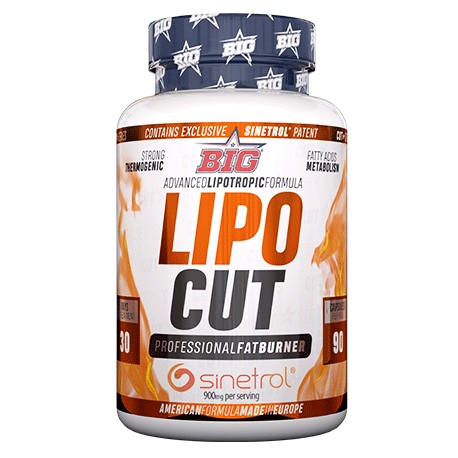 Lipo Cut Proffesional Fatburner - (90 Caps) - Big