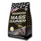 Mass Gainer Evolution (8 kg) AMERICAN NUTRITION